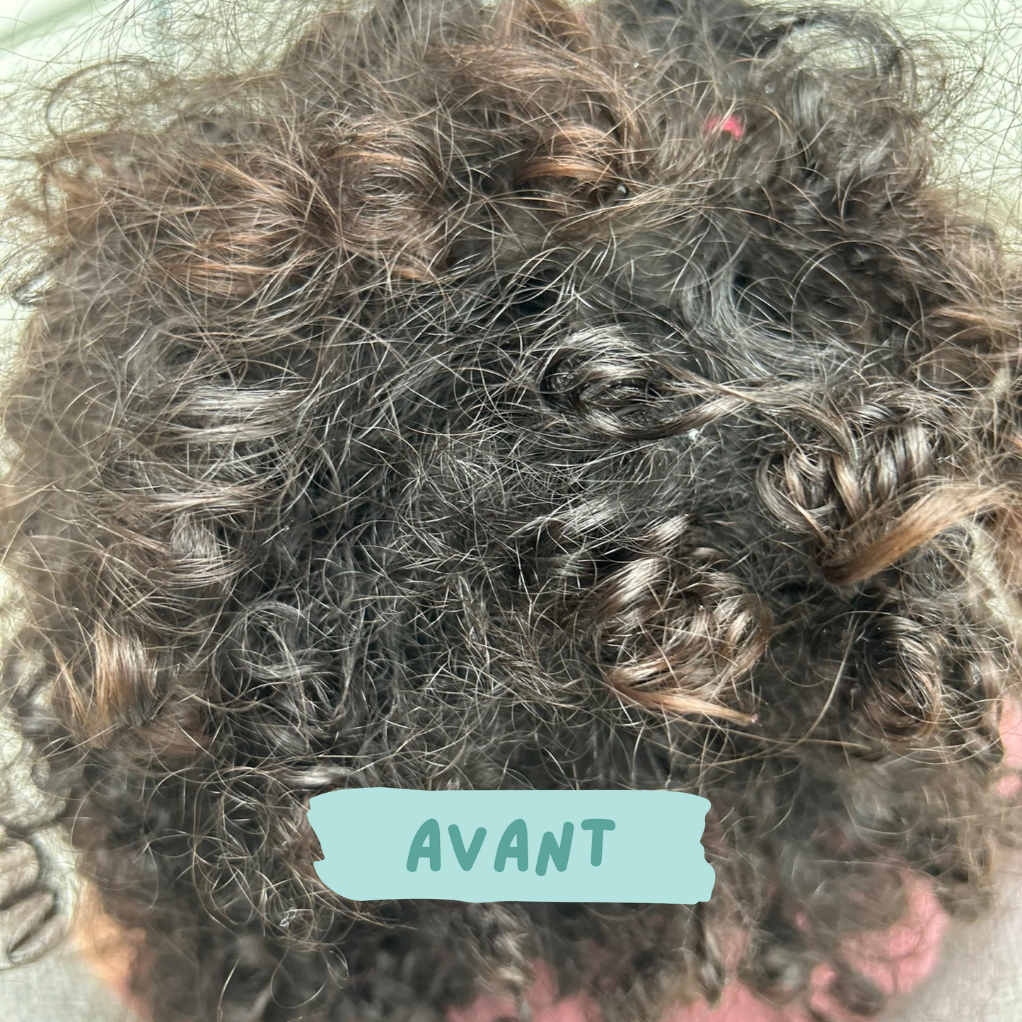 cheveux noeuds terne